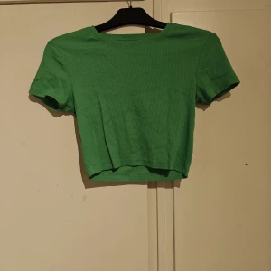 Grön croppad topp från FSBN Sister New Yorker  - Grön ribbad croppad topp från FSBN Sister New Yorker. T-shirten har rund halsringning och korta ärmar. Perfekt för dig som gillar en enkel men trendig stil. Materialet är mjukt och stretchigt för en bekväm passform.