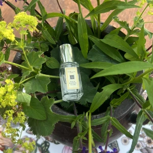 Jo Malone Peony & Blush Suede parfym - En elegant parfym från Jo Malone i doften Peony & Blush Suede. Flaskan är liten och rektangulär i genomskinligt glas med en stilren silverfärgad kork. Perfekt för dig som gillar blommiga och fräscha dofter med en lyxig känsla.