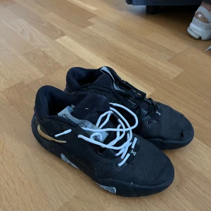 Nike pg 6 - Säljer mina gamla pg 6’s i storlek 44. Dom är rätt så slitna men är otroligt bra skor, dom bästa jag ägt! Ena skons snöra gick sönder, så det är utbytt mot ett vitt snöre, som man ser på bilderna. Låda finns ej! Skorna går inte att köpa i butik längre!