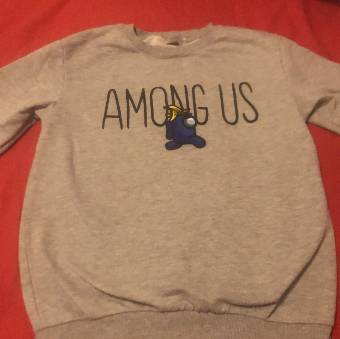 Grå Among Us sweatshirt