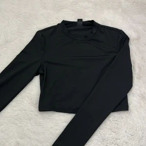 Svart croppad långärmad topp - Snygg svart croppad topp med långa ärmar och rund halsringning.  Tillverkad i ett stretchigt syntetmaterial som sitter bekvämt på kroppen.