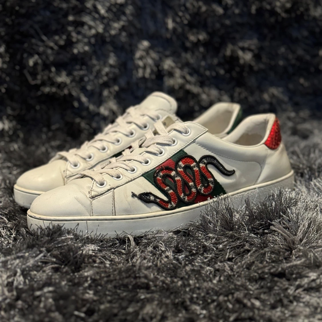 Gucci Ace Snake