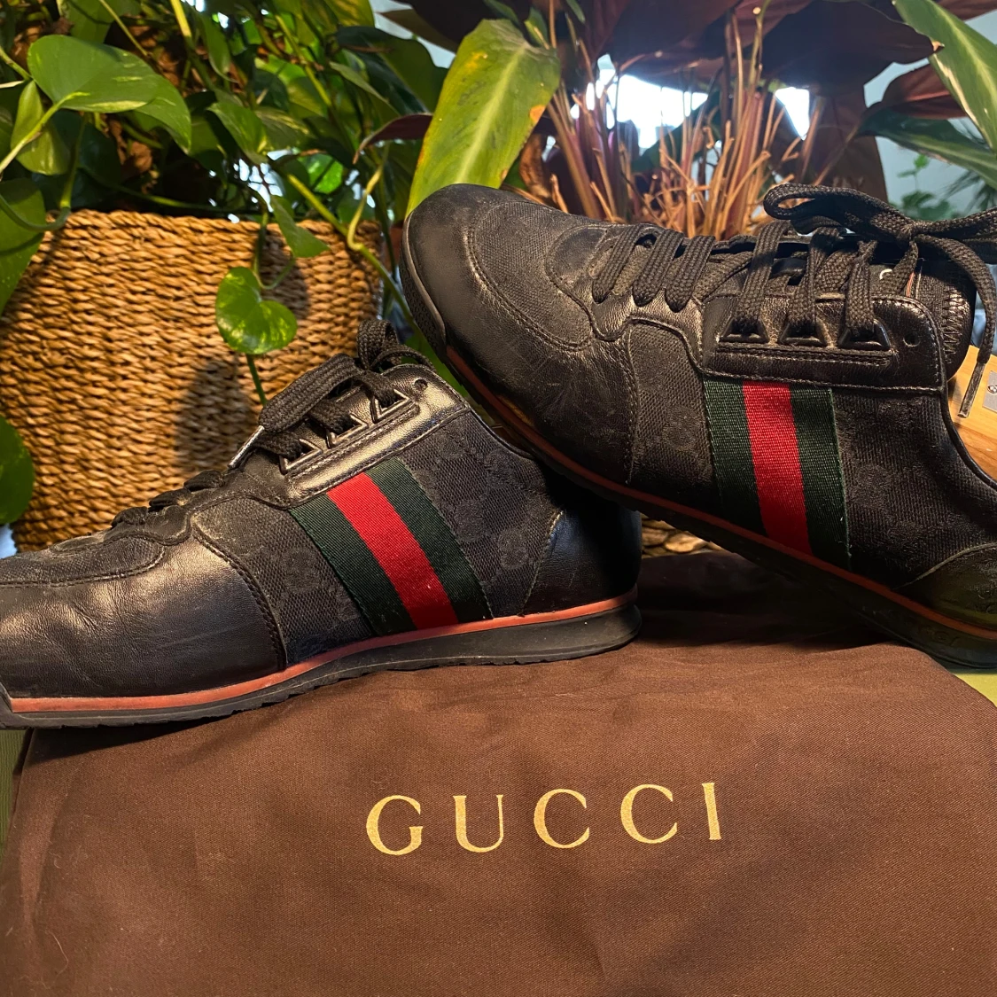 Gucci Monograme Trainers Svarta - 1