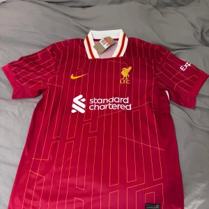 Liverpool Salah Fan edition storlek L - Skickar inget, du får komma till Liljeholmen/gröndal alternativt vi ses TC/slussen/skanstull 