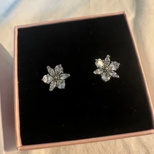 Pandora örhängen - Jätte söta örhängen från Pandora, silvriga med stenar i. Använda få gånger och bra skick. 💗