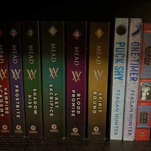 Vampire Academy, Frostbite, Shadow Kiss, Blood Promise, Spirit Bound, Last Sacrifice, Puck Shy, One-Timer - Upptäck spännande ungdomsböcker! Här finns hela Vampire Academy-serien av Richelle Mead – fylld av vampyrer, vänskap och äventyr – samt två sportiga romanser av Teagan Hunter. Perfekt för dig som gillar fantasy, romantik och sport.