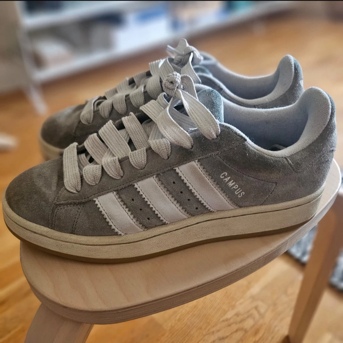 Adidas Campus grå sneakers