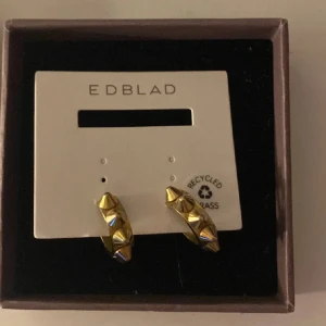 Guld örhängen från Edblad - Säljer ett par coola guldpläterade örhängen från Edblad med nitar runt hela ringen. Tillverkade i återvunnet mässing. Perfekta för dig som vill ha ett statement-smycke!