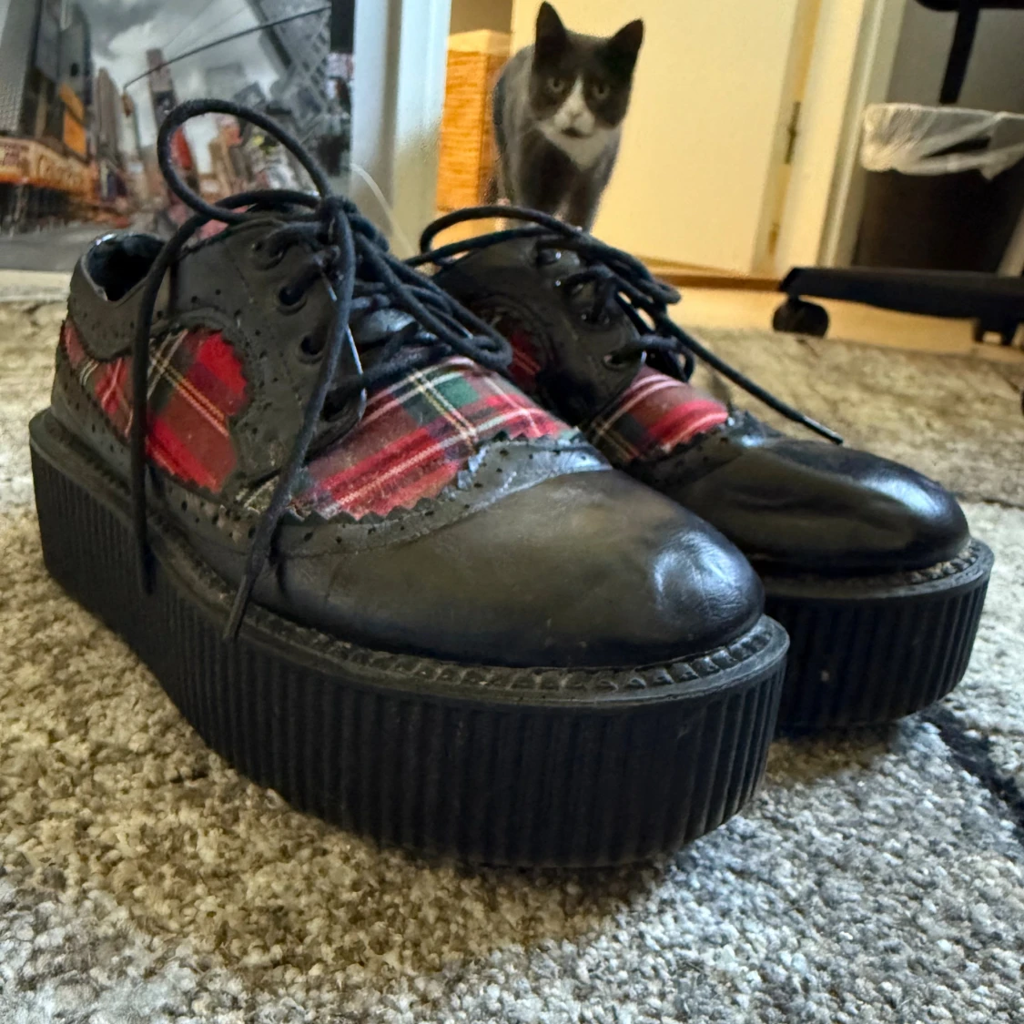 Rödrutiga creepers i storlek 38 - 1