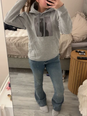 Grå The cool elephant tröja  - Jag säljer min gråa the cool elephant tröja med ett tryck av en kvinna på. Tröjan är i XS med är ganska stor så skulle säga att den är i S. Den är inte så använd så är i ett väldigt bra skick.