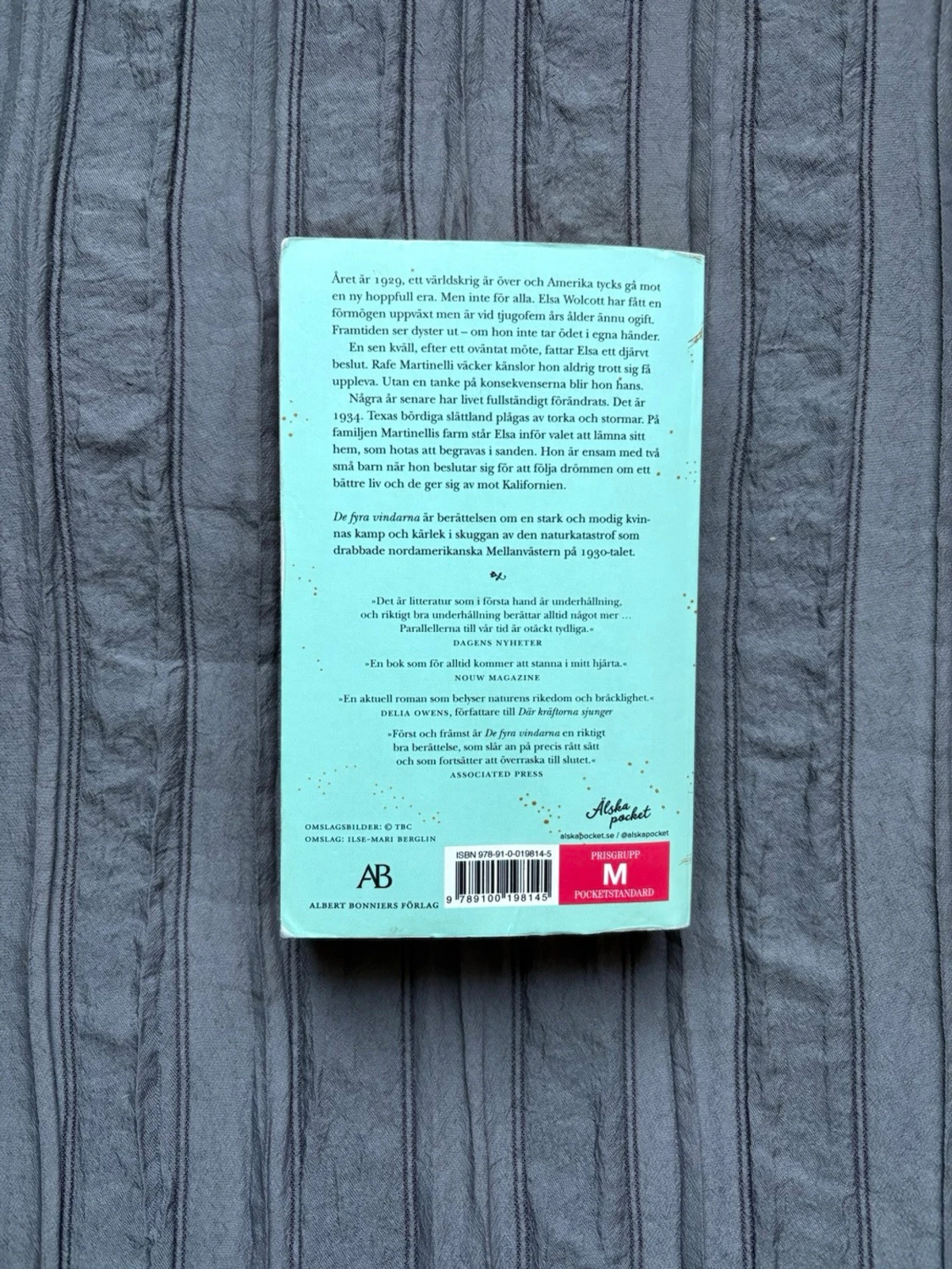 De fyra vindarna av Kristin Hannah - 1