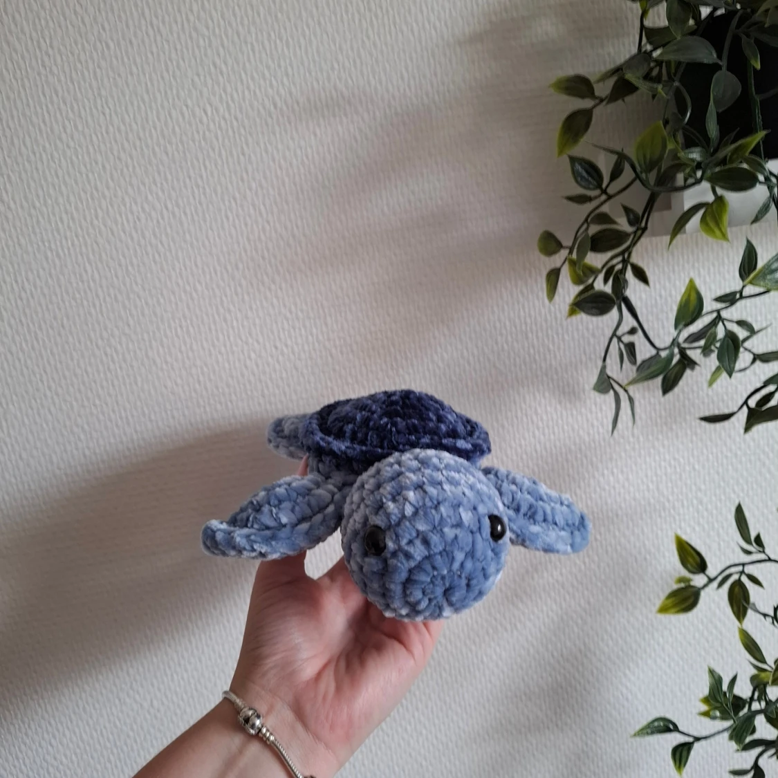 Virkad sköldpadda  - 3