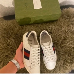 G*cci ace sneakers - G*cci ace sneakers | Storlek:40,5 men passar 41,5 | 26,5 cm | Äkta| Skick:Mycket bra! | Pris:1099 kr men kan diskuteras