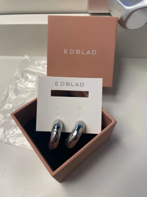 Edblad örhängen  - Svin coola örhängen från Edblad, fick i julklapp men dessa kommer inte komma till användning tyvärr. Dem är aldrig använda och helt nya, de kommer i original förpackning🩵 säljer för nästan fullt pris då jag aldrig använt dessa💫