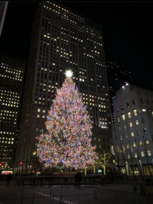 FRIFRAKT  - FRIFRAKT på valfri vara