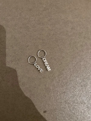 Silvriga örhängen med text - Säljer ett par silvriga örhängen i ringmodell med hängen där det står 'LOVE' på ena och 'DREAM' på andra. Örhängena har en minimalistisk och trendig design, perfekta för att ge din look en personlig touch.