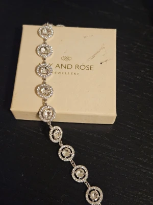 Silverfärgat armband från Lily and Rose - Snyggt armband i silverfärg från Lily and Rose med runda länkar dekorerade med gnistrande kristaller. Armbandet har en elegant och glittrig design som verkligen drar blickarna till sig. Perfekt för dig som gillar stilrena och lyxiga accessoarer.