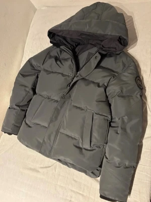 Grå pufferjacka från Canada Goose - Säljer en grå pufferjacka från Canada Goose, modell Fusion i storlek M. Jackan har hög krage, flera fickor, svart broderad logga på ärmen och dragkedja med knappar framtill. Perfekt för kalla dagar med sin tjocka och dunfyllda design. Obs glömde ta en bild på pälsen och påsen.
