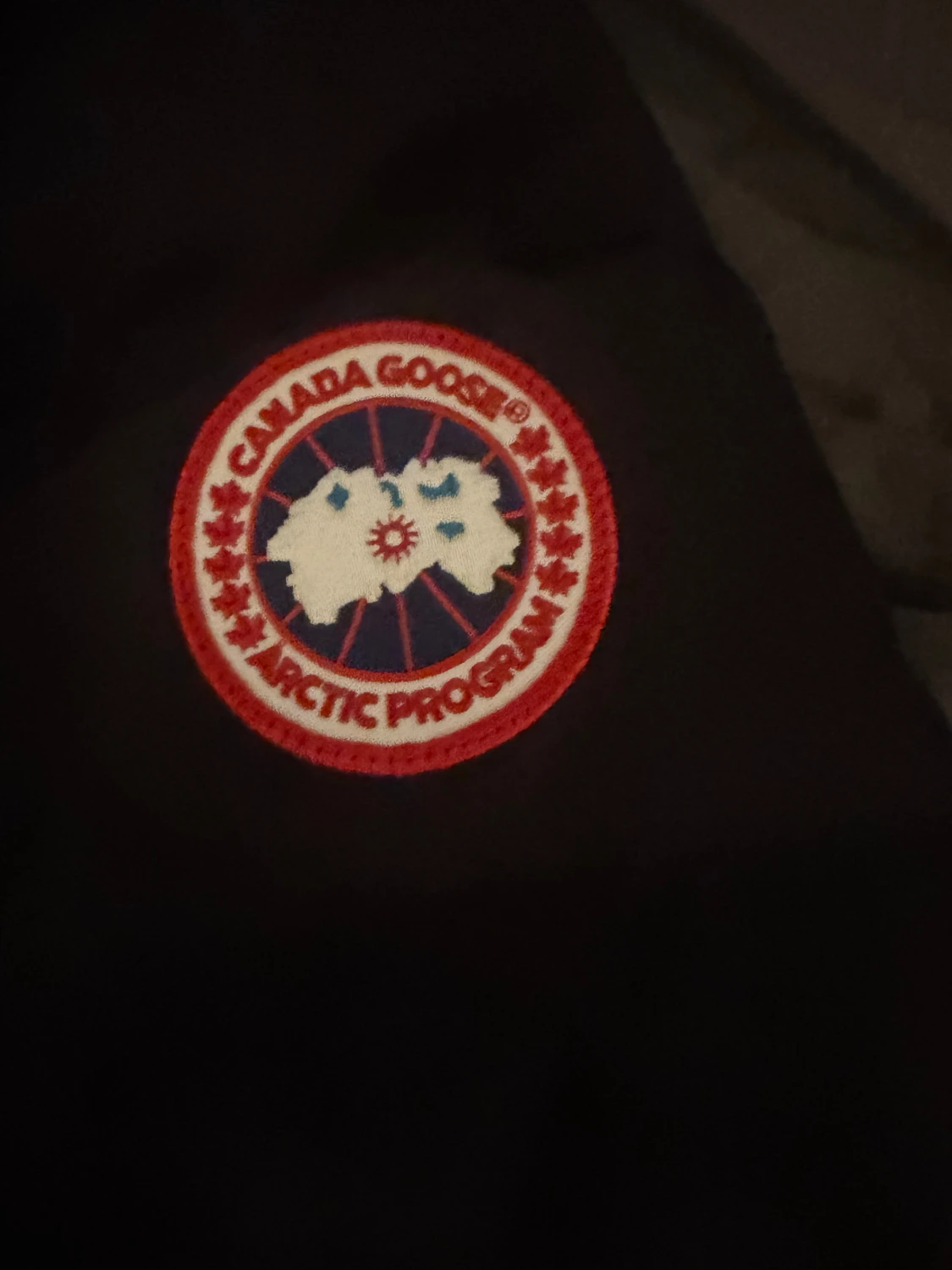 Svart dunjacka från Canada Goose - 3