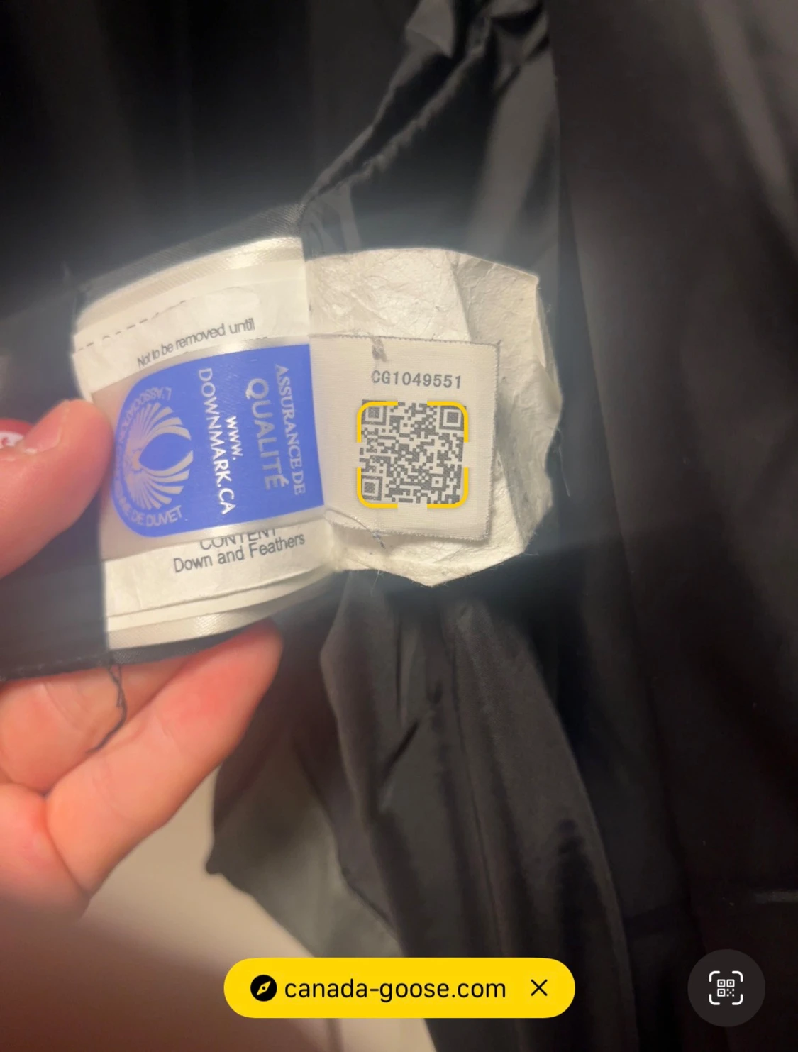  Canada Goose Wyndham black label  - 5