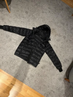 Svart Peak Performance dunjacka - Svart dunjacka från Peak Performance med huva och dragkedja. Jackan har quiltad design, ribbade muddar vid ärmslut och två sidofickor med dragkedja. Perfekt för kalla dagar och har en stilren look med diskret logga på bröstet. 