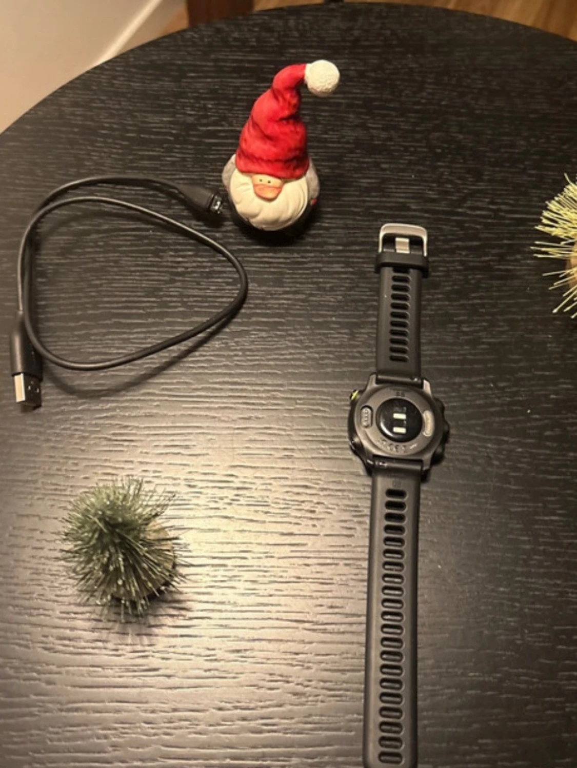 Garmin Forerunner 55 - 4