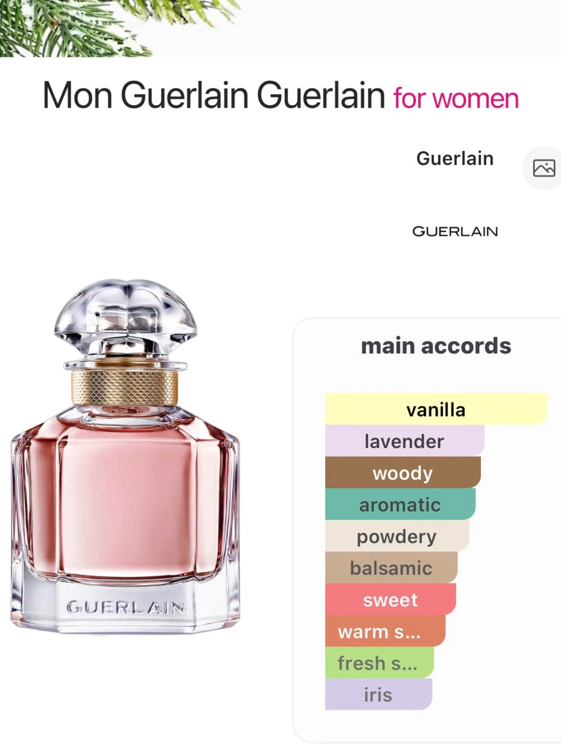 Mon Guerlain Eau de Parfum 30 ml - 3