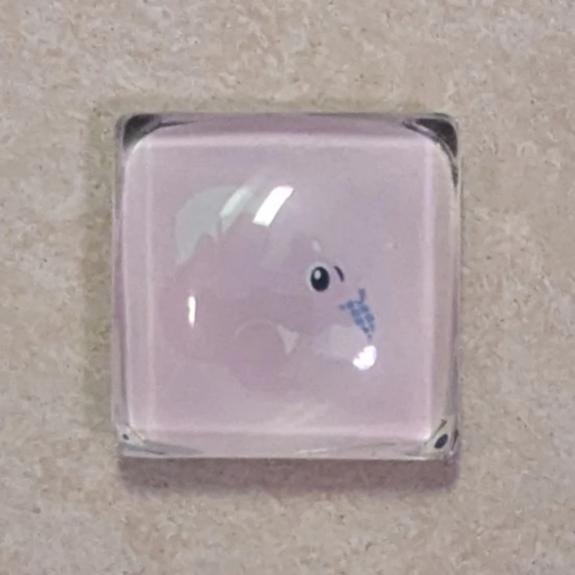 Magnet med djurmotiv 