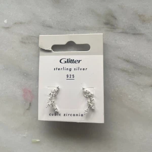 Silvriga örhängen från Glitter - Snygga örhängen i sterling silver 925 från Glitter, dekorerade med cubic zirconia-stenar i ett elegant, grenliknande mönster. 