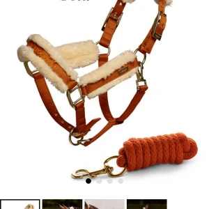 !!SÖKER!! - Söker bronze gold grimma den equestrian Stockholm st.full. Kan tänka mig byta och betala mellan skillnad. 