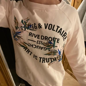 Ljusrosa sweatshirt Zadig & Voltaire - Ljusrosa sweatshirt från Zadig & Voltaire med tryck och broderade detaljer framtill i blått, grönt och beige. Tröjan har rund hals, långa ärmar och en relaxed passform. Perfekt för dig som gillar coola prints och snygga detaljer.
