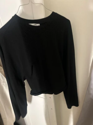 Långärmad topp  - Långärmad topp med tight midja och vida ärmar