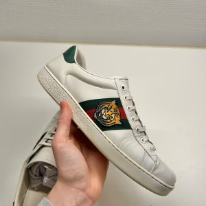 Gucci Ace  - Nu säljer jag mina gucci ace som är i bra skick med en tiger på sidan. Skorna har använts flitigt i ca 5 månader och har mycket kvar att ge. Vill bli av med dom fort så säljer för 1599, pris kan diskuteras vid ett snabbt köp. Hör av er vid frågor! 🤩