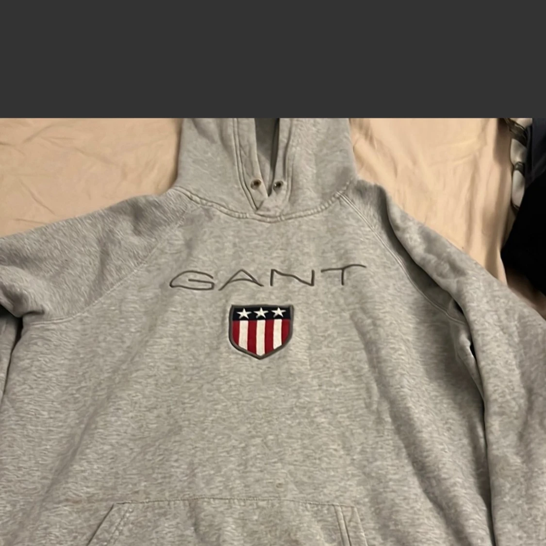 Grå hoodie från GANT med emblem