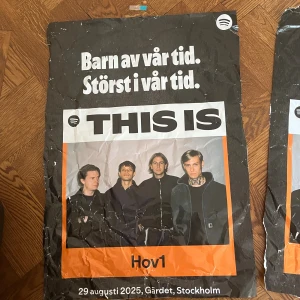 Svart hov1 affisch  - Skick-se bild