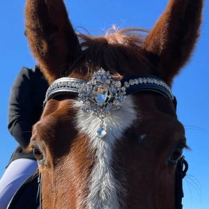 Nytt pannan st full - Tyvärr var pannbandet för stort:( men säljer det för 500 använd en gång.💞