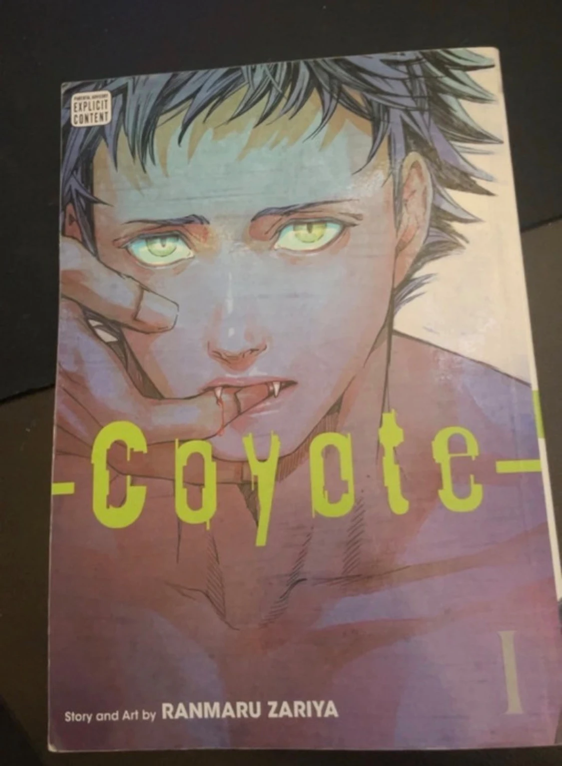 Coyote - 1