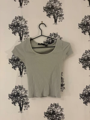 Ljusgrön ribbad topp  - Säljer en ljusgrön ribbad topp från Lager 157 i storlek XS. Toppen har rundad halsringning och korta ärmar, med en slim passform som sitter snyggt. Materialet är mjukt och stretchigt, perfekt för dig som gillar enkel och stilren design.