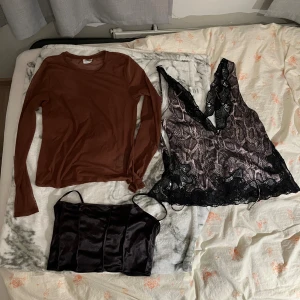 Brun långärmad topp, spetsblus & svart korsett - Tre snygga toppar! En brun långärmad topp i mjuk bomull, en blus med ormmönster och svart spetsdetalj samt en svart korsettliknande topp i satin med smala axelband. 