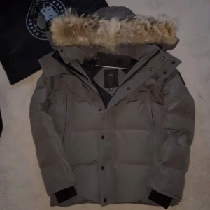 Canada goose Wyndham  (äkta) - Snygg grå dunjacka från Canada Goose med svart logotyp på ärmen och stor huva med fluffig päls. Jackan har långa ärmar, dragkedja och knappar framtill samt två snedställda fickor. Perfekt för kalla vinterdagar och riktigt varm.