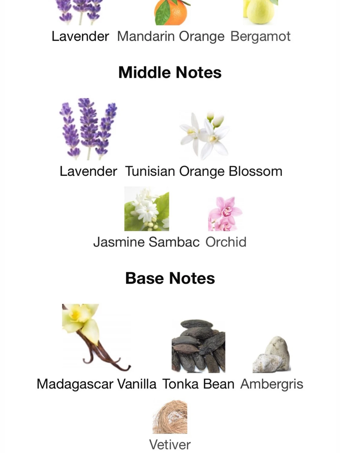 Libre Intense EdP, 30 ml. - 3