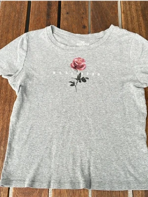 Grå T-shirt från Hollister med ros - Säljer denna fina T-shirt från Hollister som inte kommer till användning💕 den är i bra skick💕 Den har en tryckt ros på framsidan💕 Pris kan diskuteras🌹