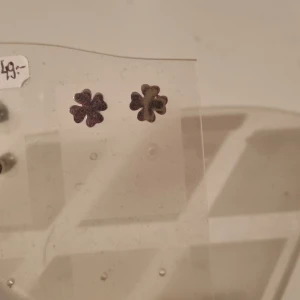 Blommiga örhängen i silver - Söta små örhängen i form av blommor med fem blad, i en mörk silvrig nyans. Perfekta för dig som gillar diskreta men unika detaljer till din stil.