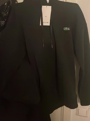 Lacoste hoodie - Säljer min lacoste hoodie som aldrig använts innan eftersom den vart för liten. Den är i nyskick och materialet där inne är skönt för att ha en lugn och soft dag. Taggen är kvar och hoodien är redo för att få en ny ägare. Kan diskutera priset vid snabb affär!