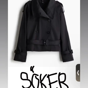 Svart croppad trenchcoat med bälte - Söker denna trenchcoat från h&m i svart helst storlek S , pris går att diskutera 