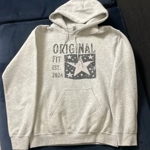 Grå SCNDI Hoodie - Säljer en grå SCNDI hoodie i storleken S. Hoodie är i mycket bra skick. Perfekt för chill dagar. De är bara att kontakta mig om du har några frågor. Kan även ta byten💯