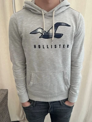 Sällsynt hoodie från hollister  - Säljer en otroligt fet hoodie från hollister i topp skick. Går ej att få tag på längre så därför blir den unik. Modellen på bilden är 184 cm. Pris inte helt hugget i sten