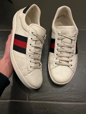 Gucci Ace - Vita Gucci ace skor i super bra skick, riktigt fräscha. Storlek 43 och självklart äkta. Skriv vid funderingar 