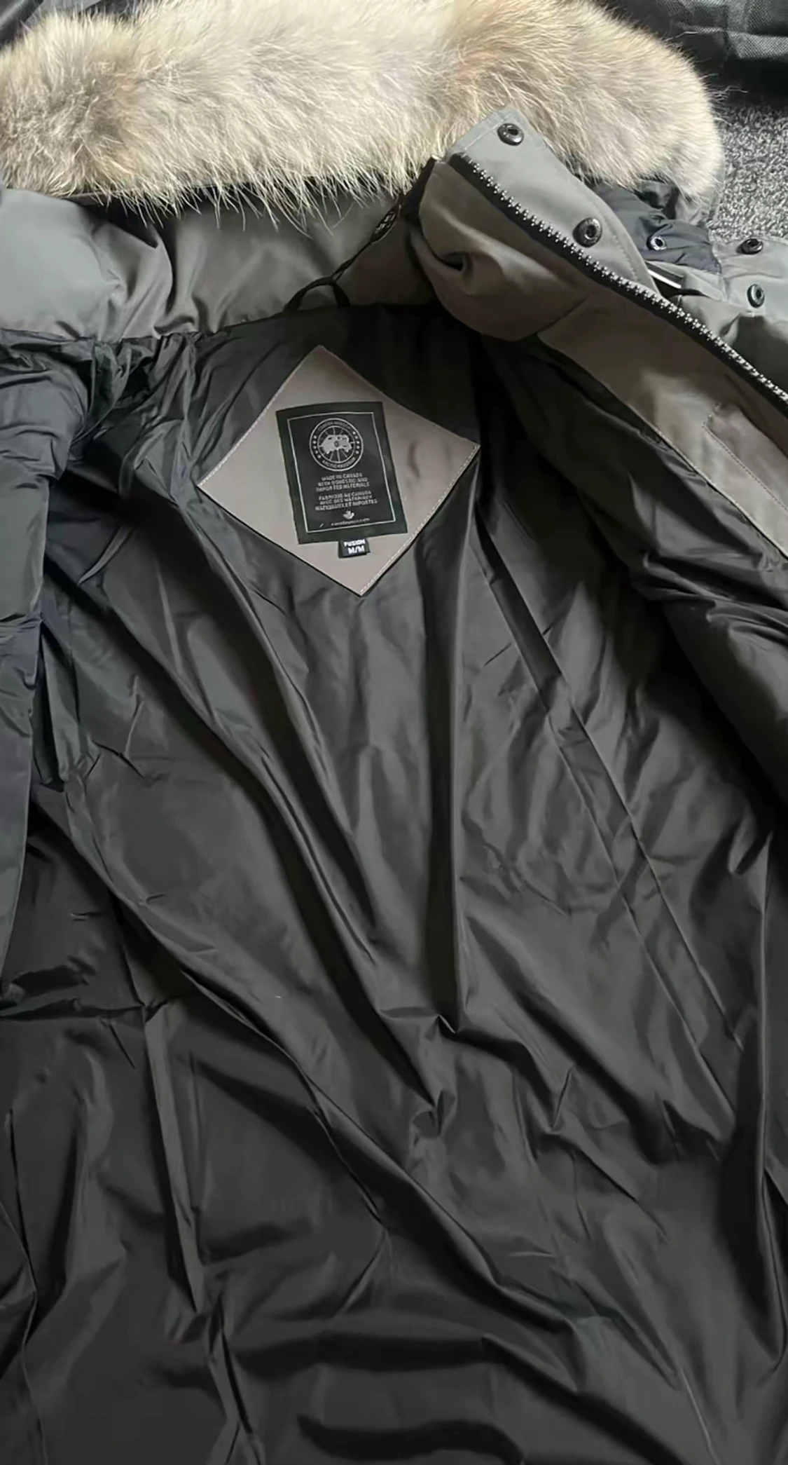 Grå dunjacka Canada Goose - 2