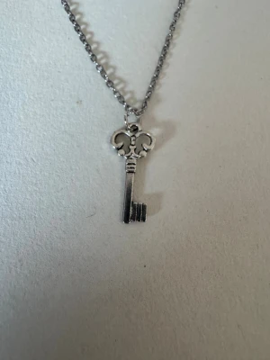 Silverhalsband mindre nyckel - Jag och min dotter gör halsband . Perfekta julklappen kanske ?  Kedjorna är 50cm långa och är av rostfritt stål. Smycket får man mått på om man frågar (kan vara missvisande på bilden). Smycket är i zinklegering. Inget är alltså äkta guld/silver 